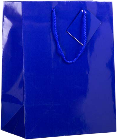 Blue Large Glossy Gift Bags (10 x 13 x 5)