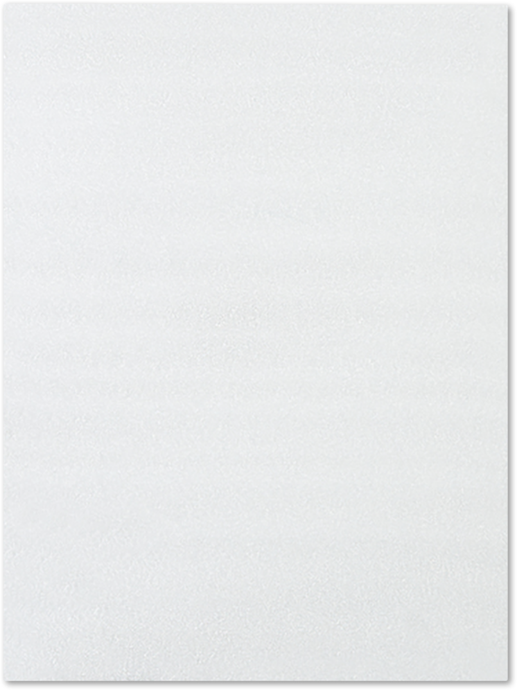 Clear 80lb 18 x 24 Flush Cut Foam Pouch with Peel & Seal