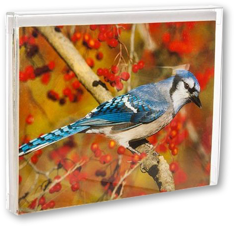 Clear A2 Card Boxes (4 1/2 x 1/2 x 5 7/8) - 25 Pack