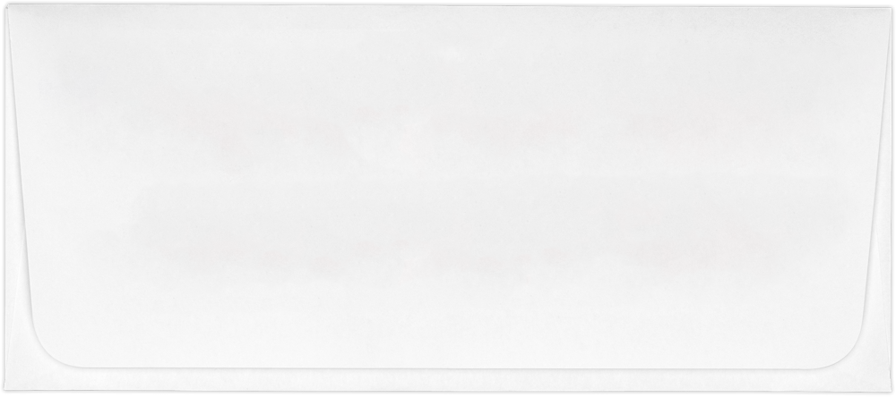 Snowflakes 28lb Currency Money Envelopes (2 7/8 x 6 1/2)