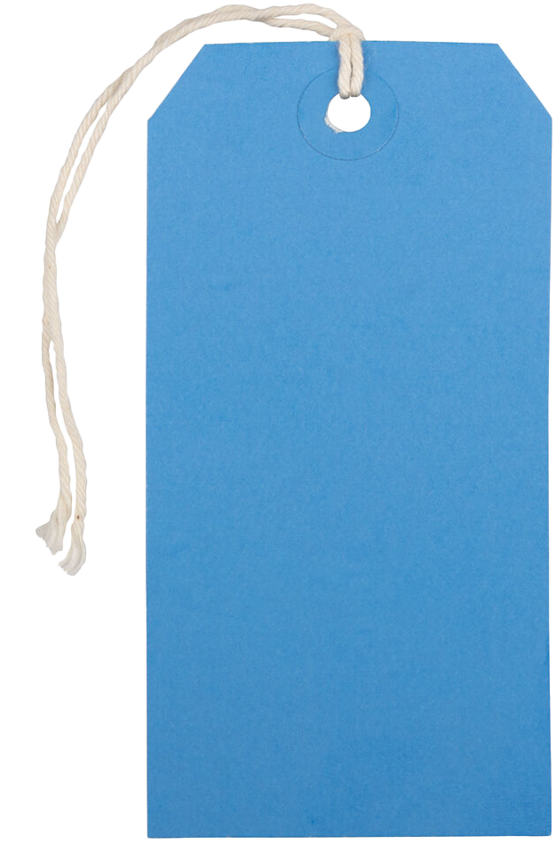 Blue Medium Gift Tags (4 1/4 x 2 3/8) - 10 Pack