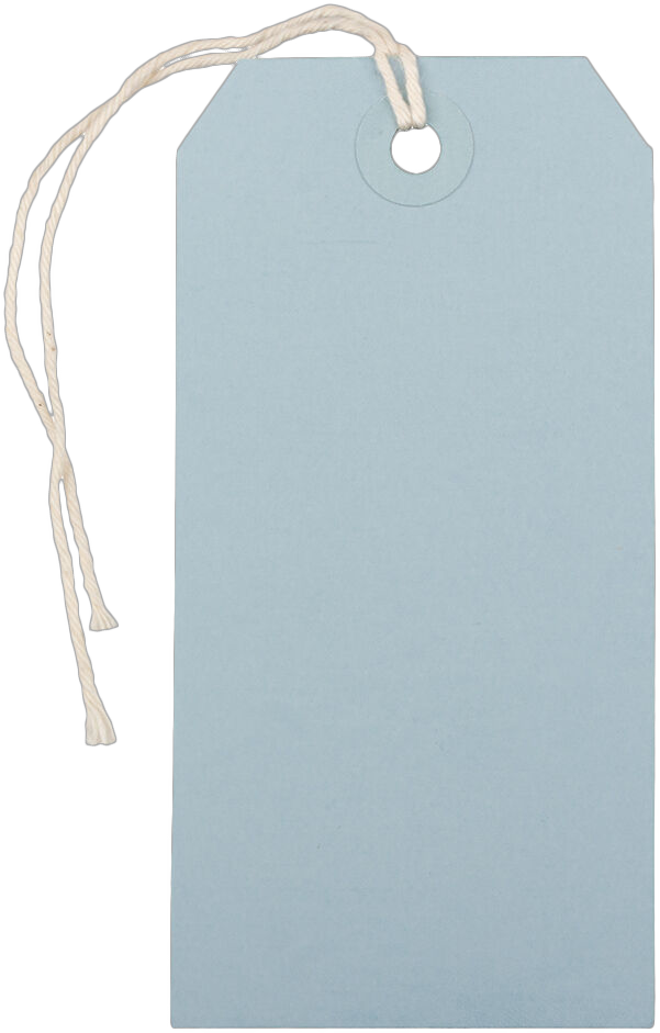 Baby Blue Medium Gift Tags (4 1/4 x 2 3/8) - 10 Pack