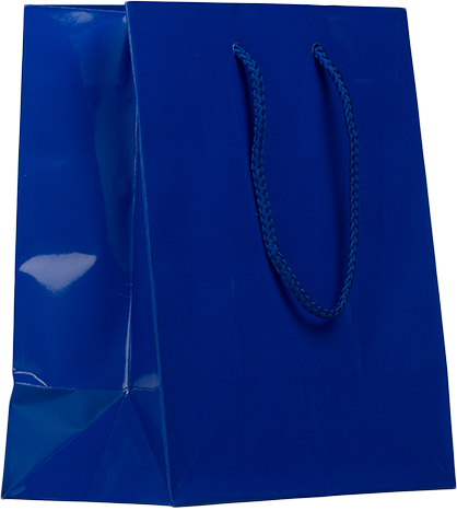 Blue Medium Glossy Gift Bag (8 x 10 x 4)