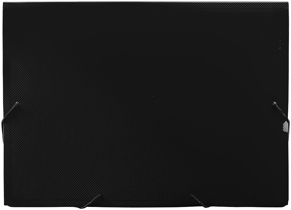 Black Letter Size 13 Pocket Expanding Files (9 x 13)
