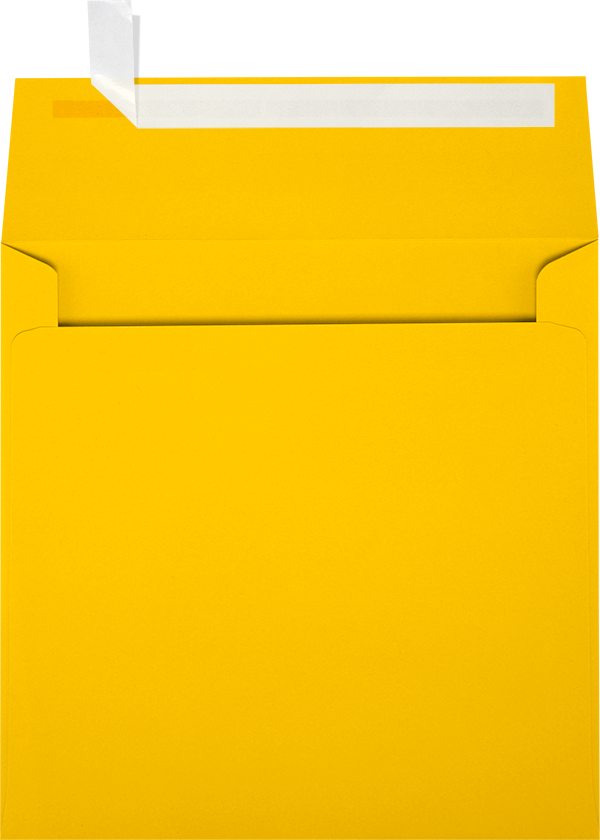 Sunflower Yellow 32lb 5 1/2 x 5 1/2 Square Envelopes with Peel & Seal