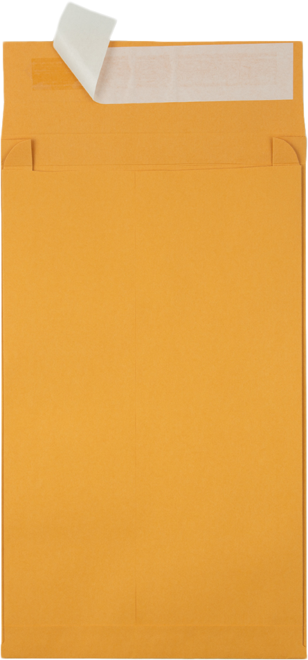 Brown Kraft 40lb 10 x 15 x 2 Open End Envelopes with Peel & Seal