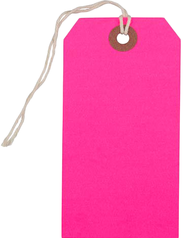 Neon Pink Medium Gift Tags (4 1/4 x 2 3/8) - 10 Pack