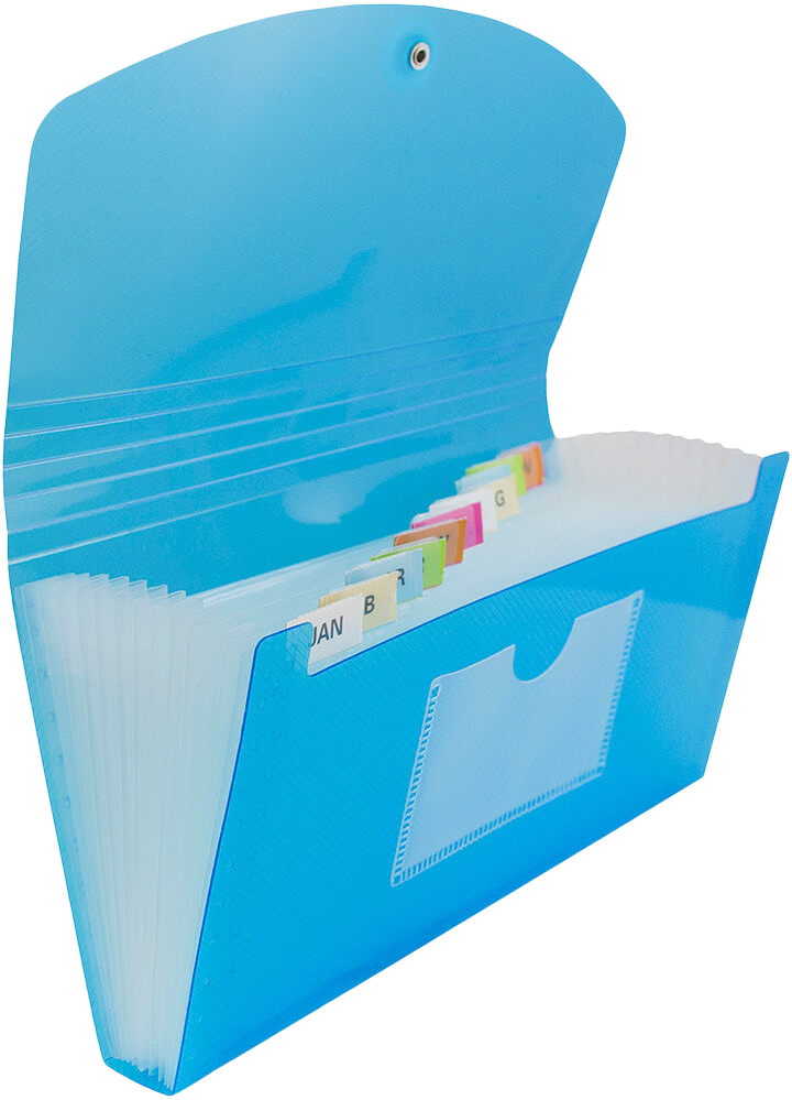 Blue Check Size 13 Pocket Expanding Files (5 x 10 1/2)