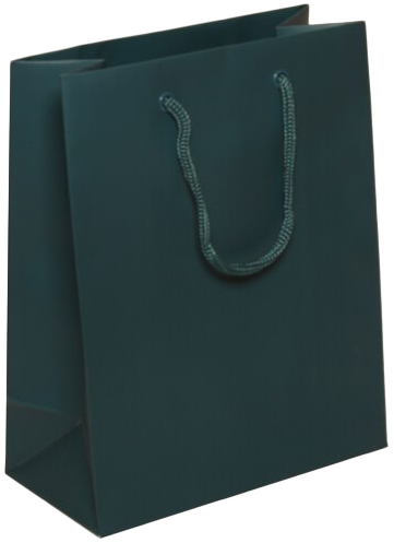 Teal Medium Matte Gift Bags (8 x 10 x 4)