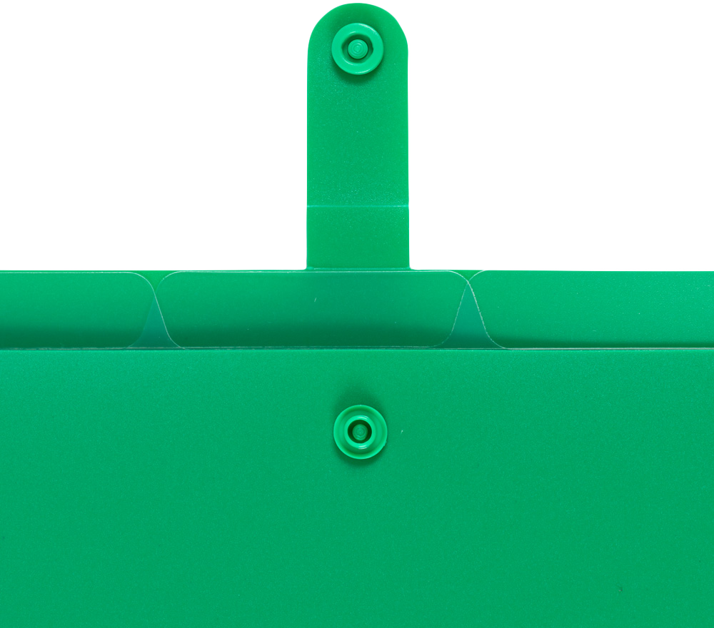 Green with Clear Inside Letter Size File Folders with Snap Tab