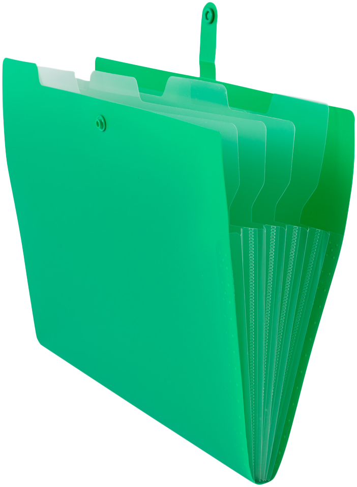 Green with Clear Inside Letter Size File Folders with Snap Tab