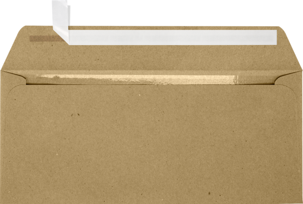 Grocery Bag 28lb #10 Full Face Window Envelopes (4 1/8 x 9 1/2) with Peel & Seal