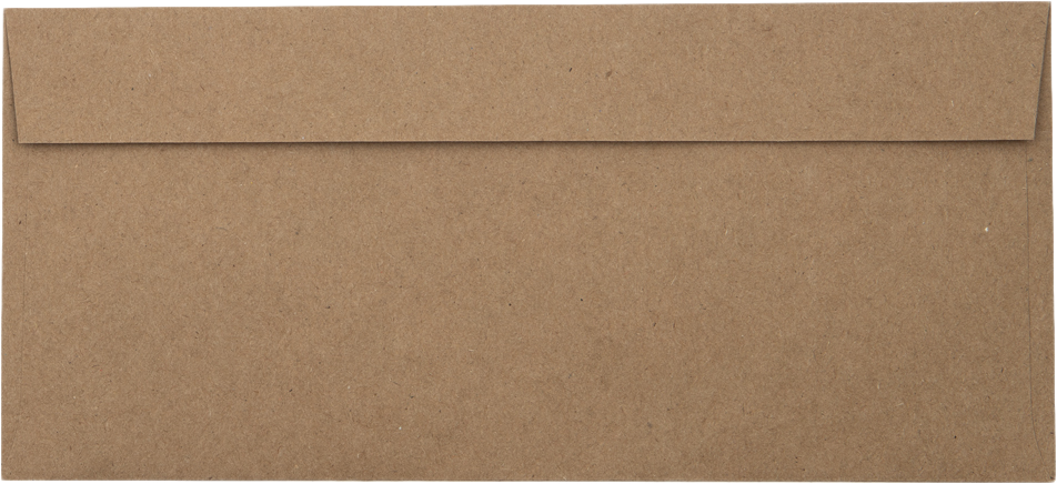 Grocery Bag 28lb #10 Invoice Double Window (4 1/8 x 9 1/8) Envelopes with Peel & Seal
