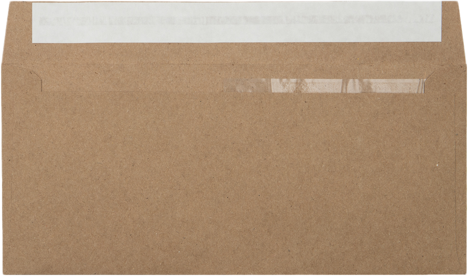 Grocery Bag 28lb #10 Invoice Double Window (4 1/8 x 9 1/8) Envelopes with Peel & Seal