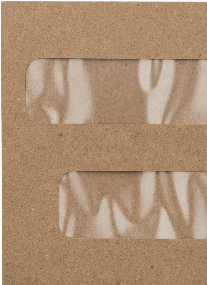 Grocery Bag 28lb #10 Invoice Double Window (4 1/8 x 9 1/8) Envelopes with Peel & Seal