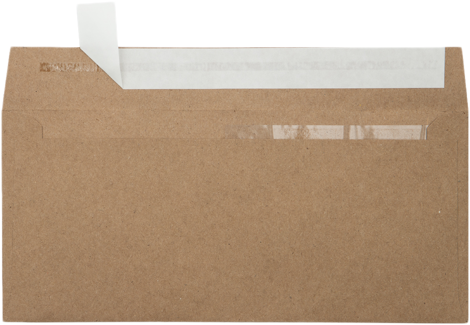 Grocery Bag 28lb #10 Invoice Double Window (4 1/8 x 9 1/8) Envelopes with Peel & Seal