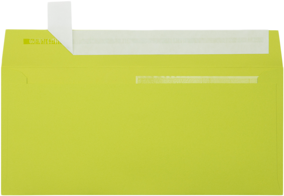 Wasabi Lime Green 32lb #10 Invoice Double Window (4 1/8 x 9 1/8) Envelopes with Peel & Seal