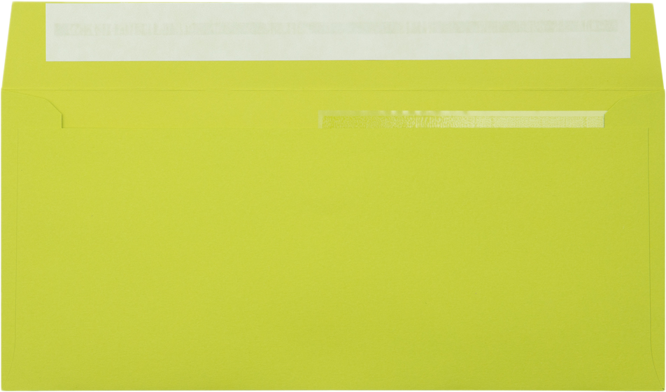 Wasabi Lime Green 32lb #10 Invoice Double Window (4 1/8 x 9 1/8) Envelopes with Peel & Seal