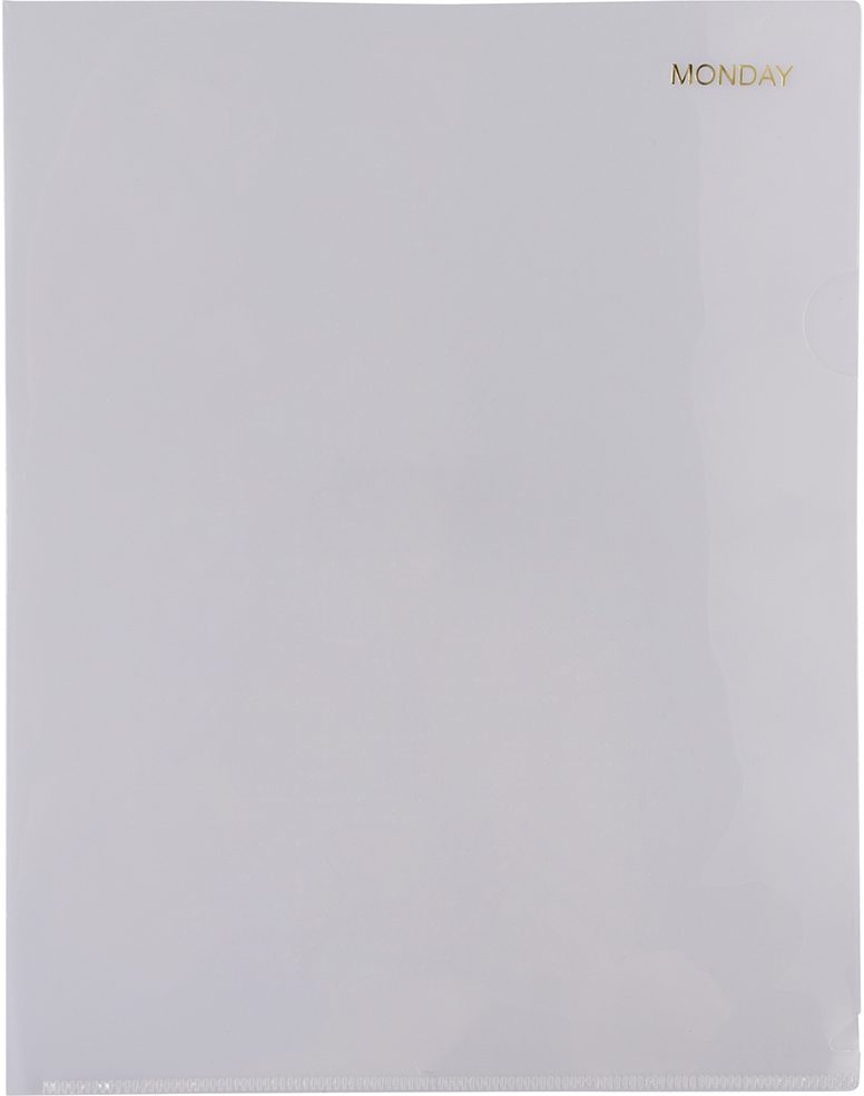 Assorted Days of the Week 9 x 11 1/2 Plastic Sleeves - 5 Pack
