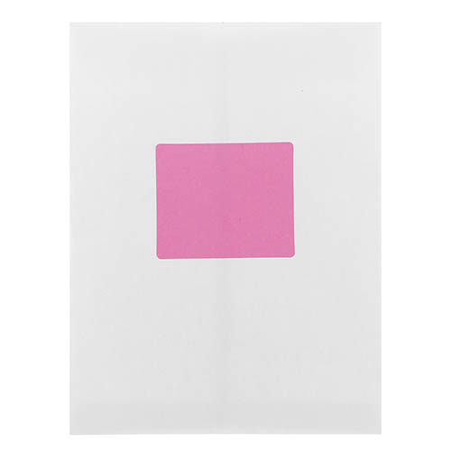 Ultra Pink 3 1/3 x 4 Shipping Labels