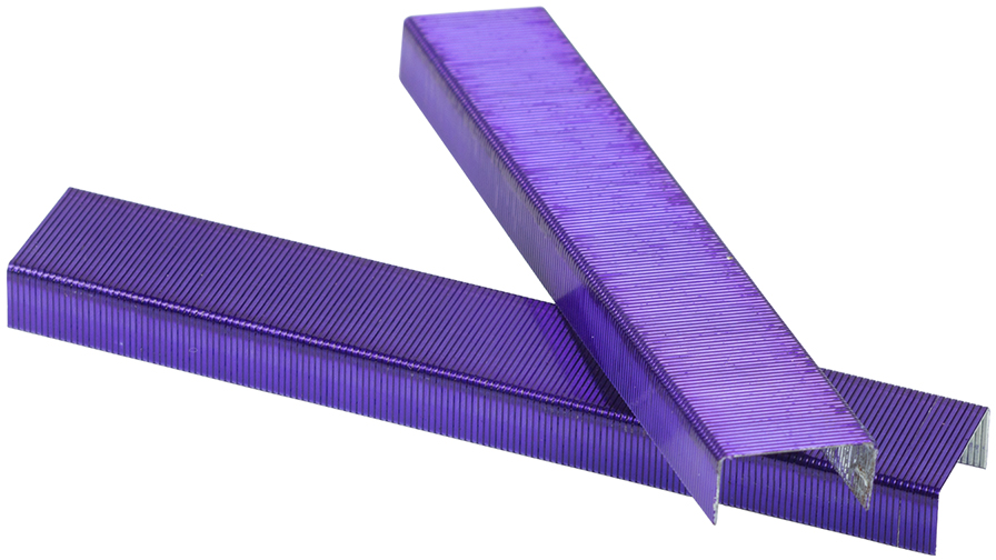 Purple Staples - 5,000 Box