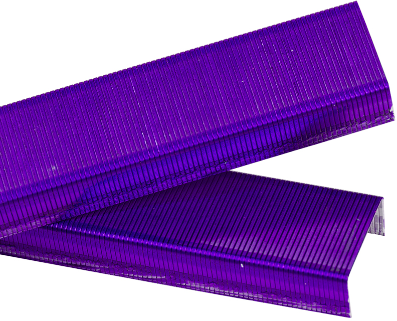 Purple Staples - 5,000 Box