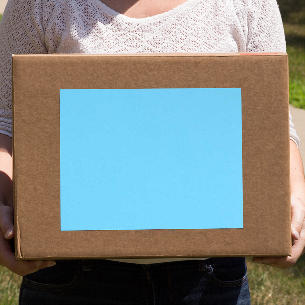 Blue 8 1/2 x 11 Full Sheet Shipping Labels