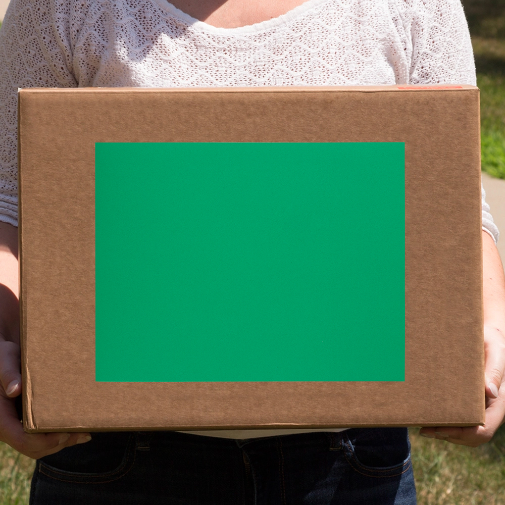 Green 8 1/2 x 11 Full Sheet Shipping Labels