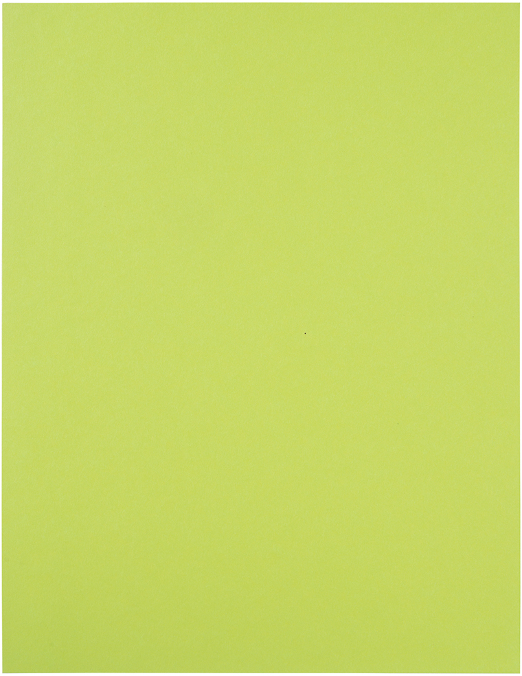 Ultra Lime 8 1/2 x 11 Full Sheet Shipping Labels