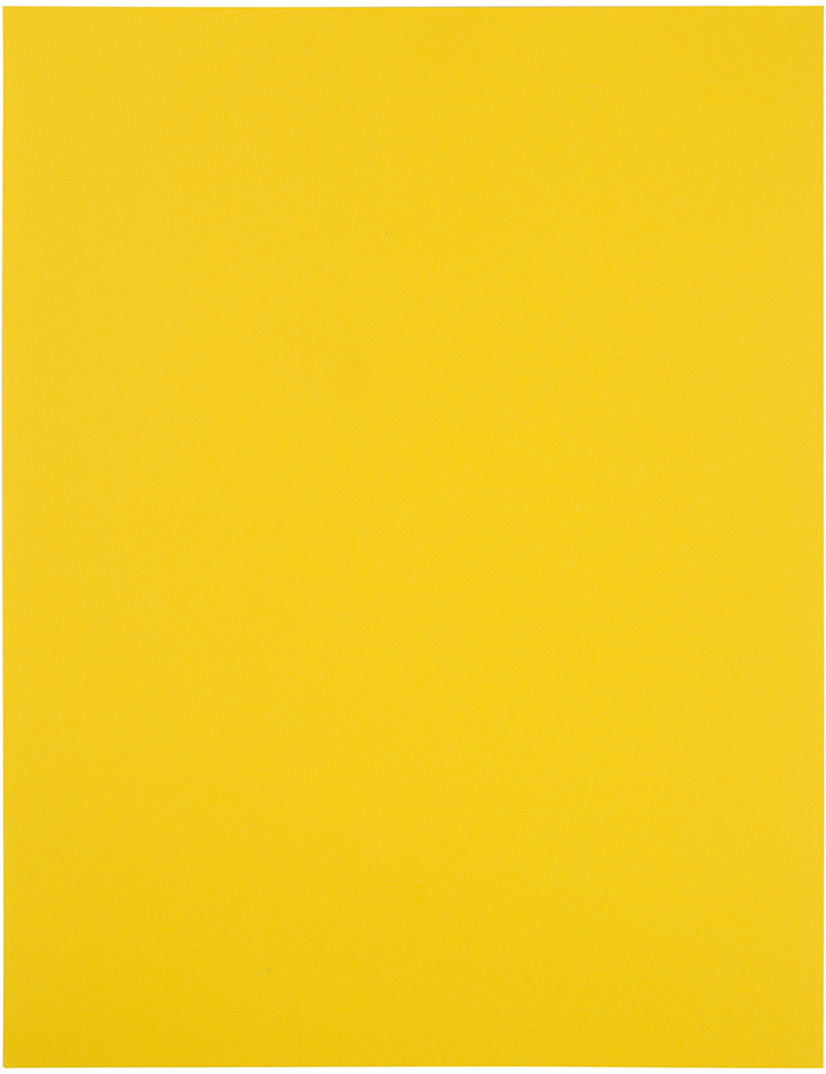 Yellow 8 1/2 x 11 Full Sheet Shipping Labels