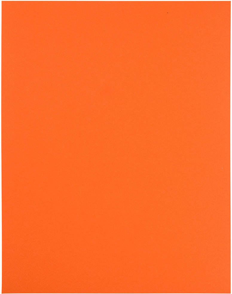 Orange 8 1/2 x 11 Full Sheet Shipping Labels