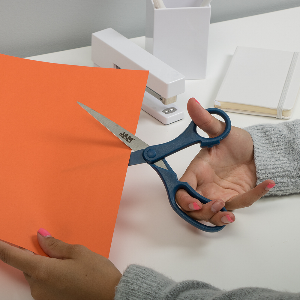 Navy Precision Scissors