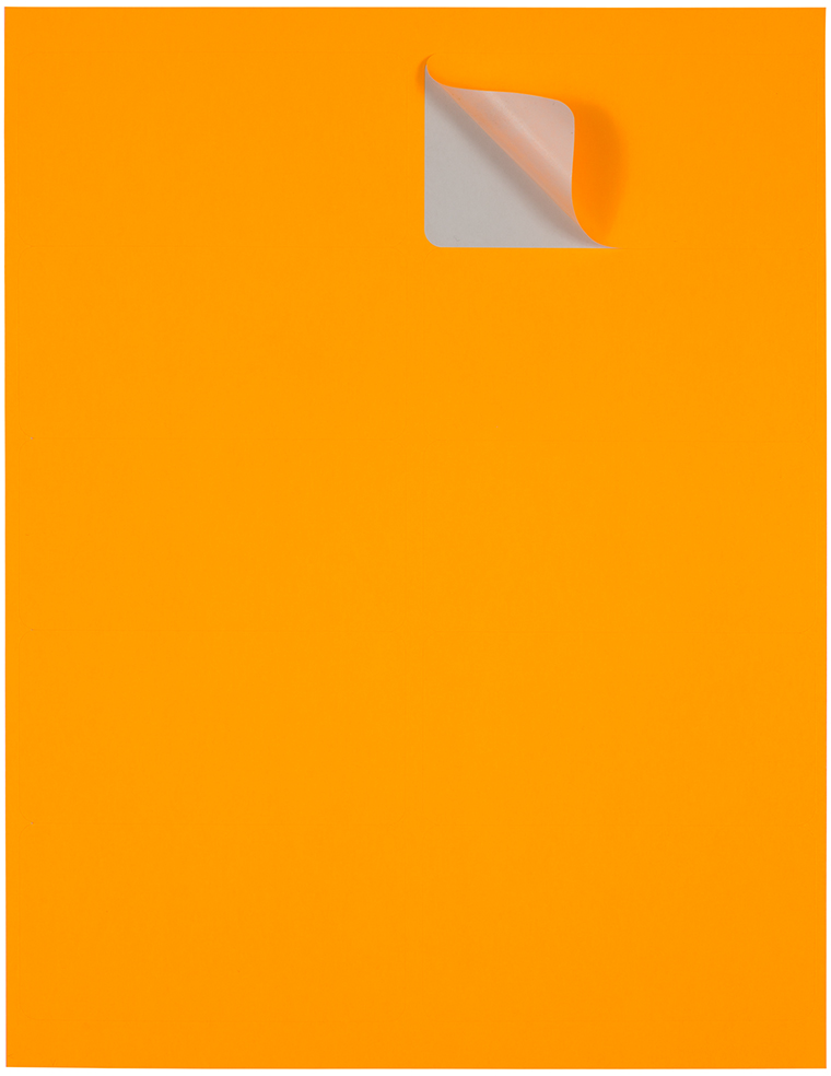 Neon Orange 2 x 4 Address Labels