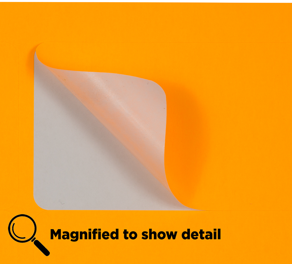 Neon Orange 2 x 4 Address Labels