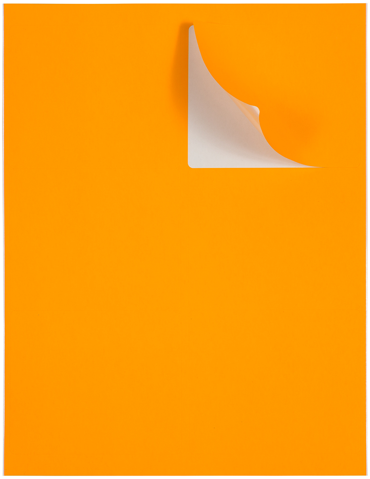 Neon Orange 3 1/3 x 4 Shipping Labels