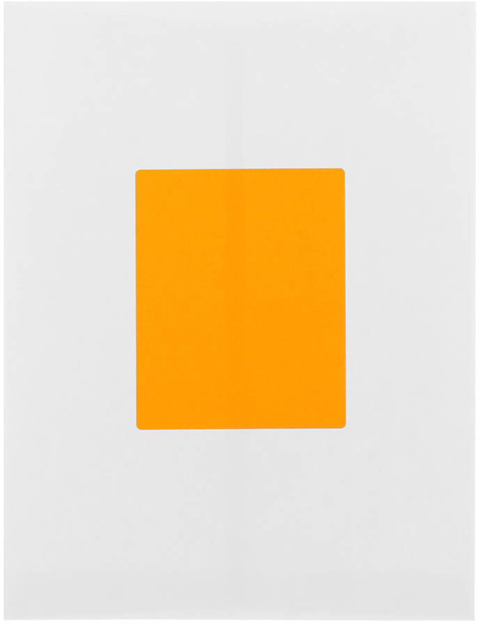 Neon Orange 4 x 5 Shipping Labels
