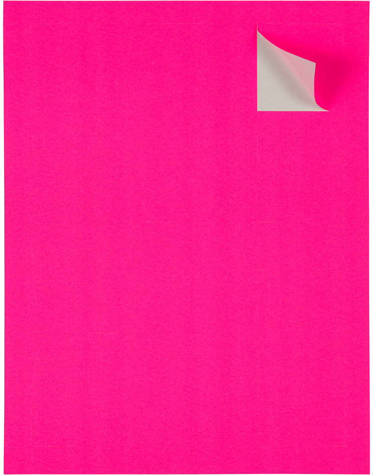 Neon Pink 2 x 2 Square Labels