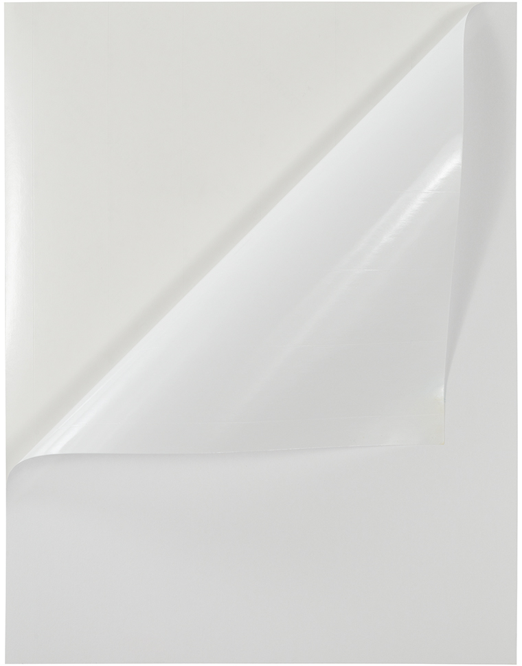 White 8 1/2 x 11 Full Sheet Shipping Labels