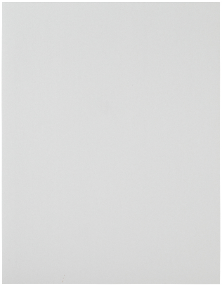 White 8 1/2 x 11 Full Sheet Shipping Labels