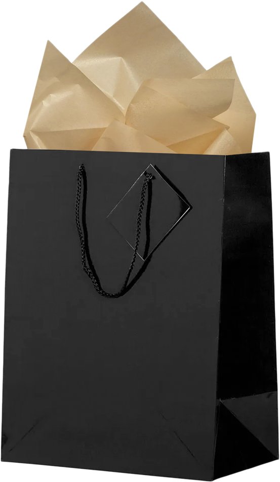 Black/Gold Large Glossy Gift Bags (10 x 13 x 5) (3 Pack) with Tissue Paper (10 Pack)