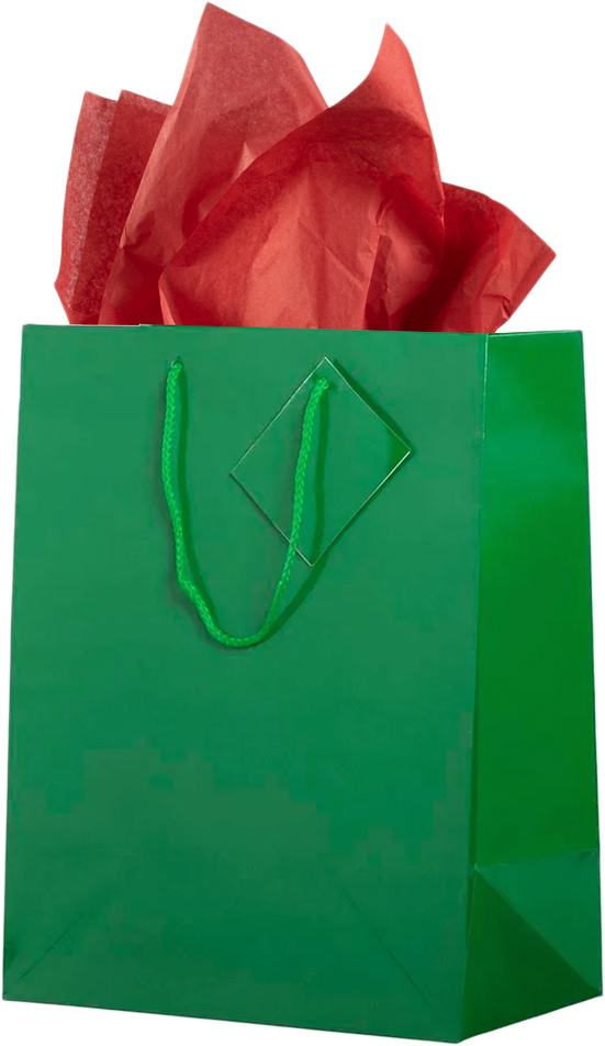 Green/Red Large Glossy Gift Bags (10 x 13 x 5) (3 Pack) with Tissue Paper (10 Pack)