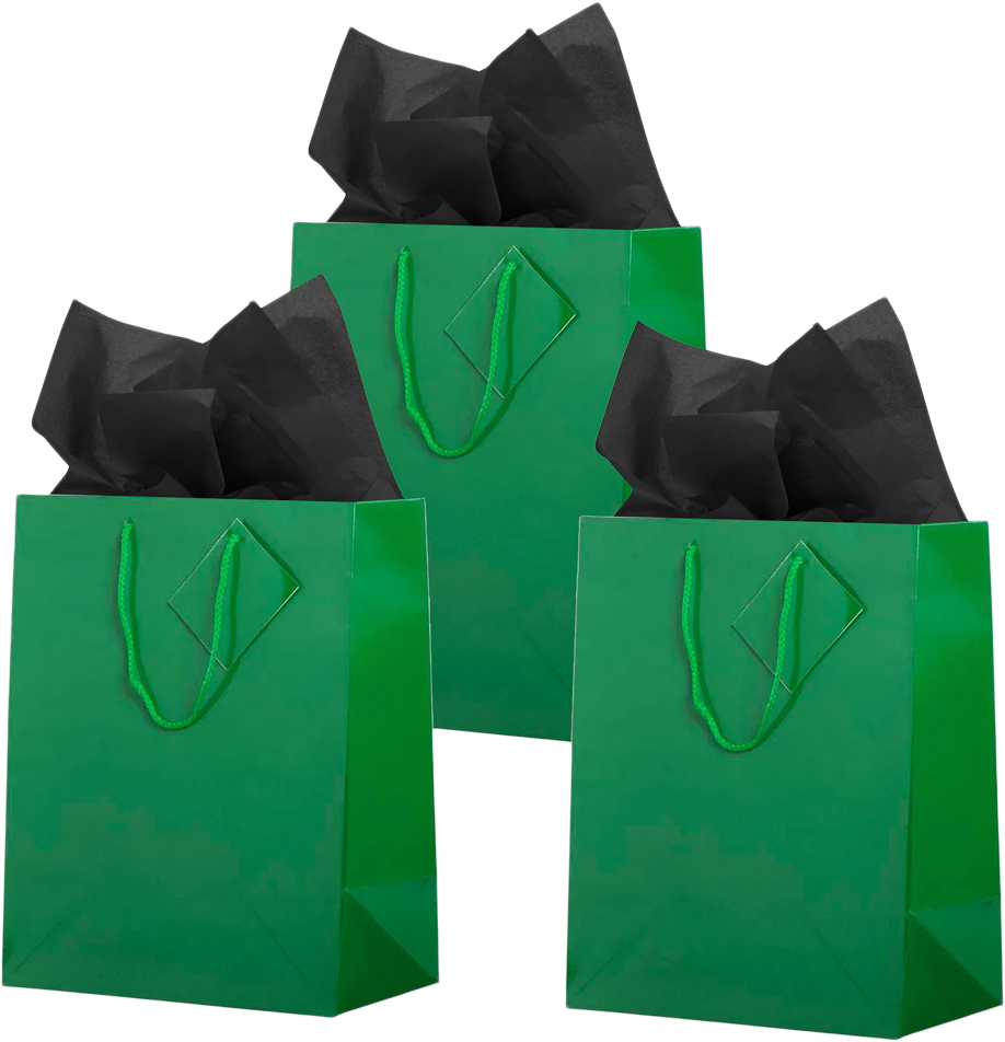 Green/Black Large Glossy Gift Bags (10 x 13 x 5) (3 Pack) with Tissue Paper (10 Pack)