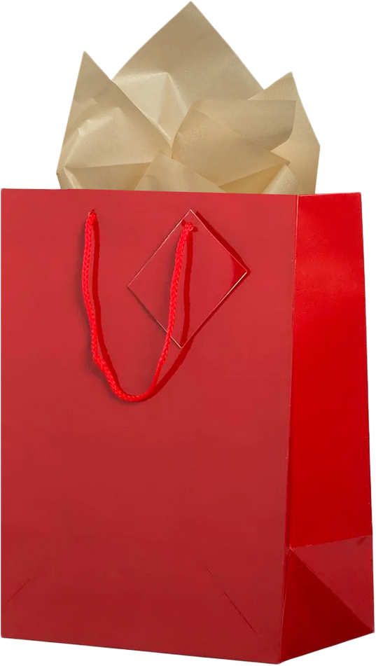 Red/Gold Large Glossy Gift Bags (10 x 13 x 5) (3 Pack) with Tissue Paper (10 Pack)