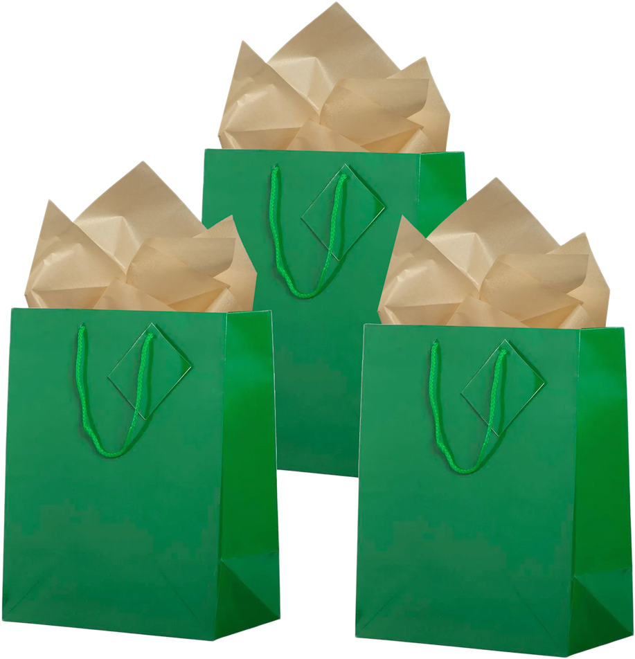 Green/Gold Large Glossy Gift Bags (10 x 13 x 5) (3 Pack) with Tissue Paper (10 Pack)