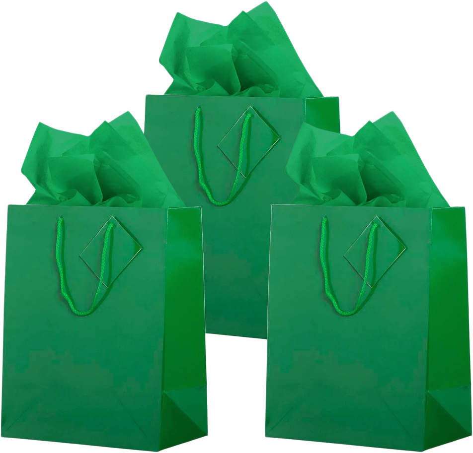 Green Large Glossy Gift Bags (10 x 13 x 5) (3 Pack) with Tissue Paper (10 Pack)