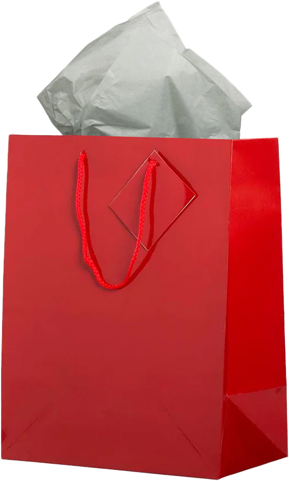 Red/Gray Large Glossy Gift Bags (10 x 13 x 5) (3 Pack) with Tissue Paper (10 Pack)