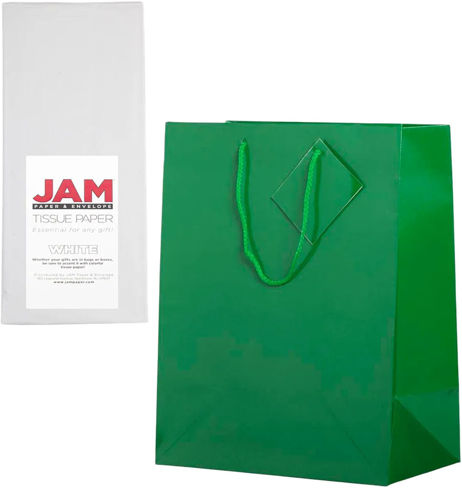 Green/White Large Glossy Gift Bags (10 x 13 x 5) (3 Pack) with Tissue Paper (10 Pack)