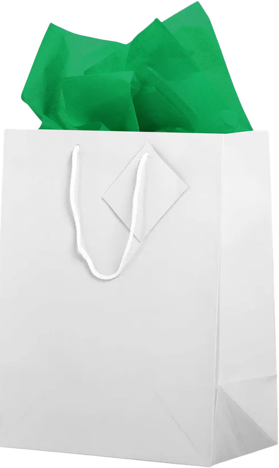 White/Green Large Glossy Gift Bags (10 x 13 x 5) (3 Pack) with Tissue Paper (10 Pack)