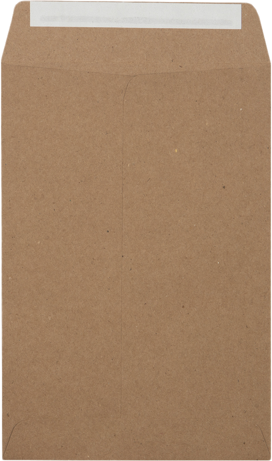 Grocery Bag 28lb 6 1/2 x 9 1/2 Open End Envelopes with Peel & Seal