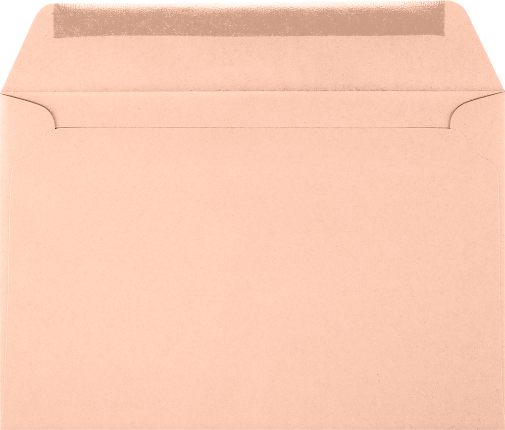 Blush Pink 32lb 6 x 9 Booklet Envelopes